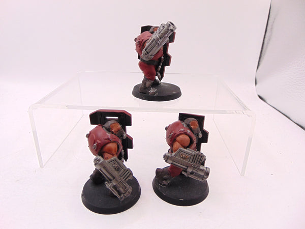Bullgryns