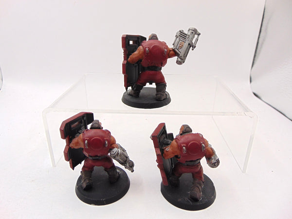 Bullgryns