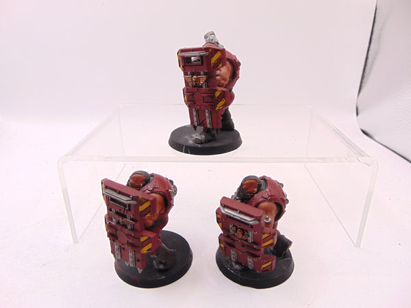 Bullgryns