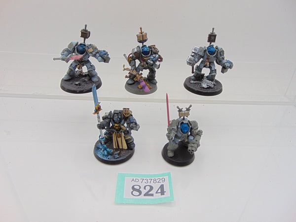 Brotherhood Terminator Squad