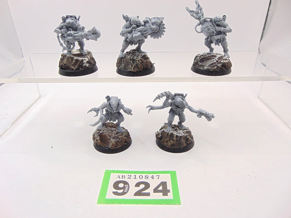 Acolyte Hybrids