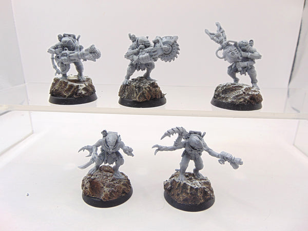 Acolyte Hybrids