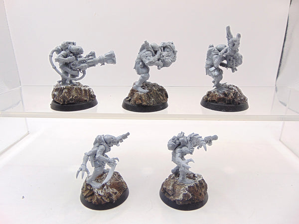 Acolyte Hybrids