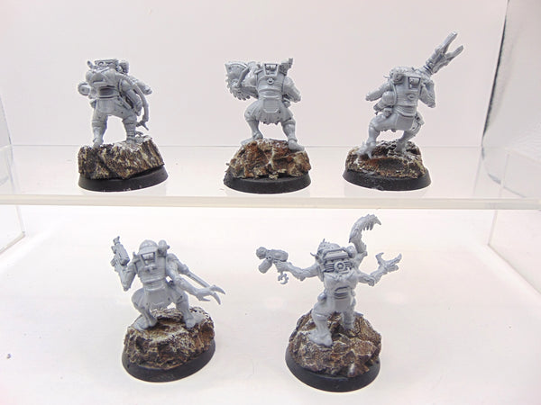 Acolyte Hybrids