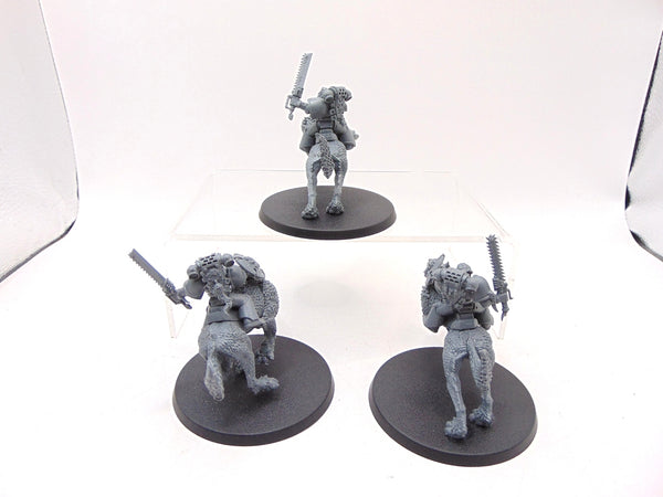 Thunderwolf Cavalry