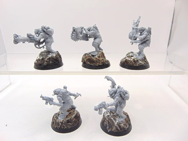 Acolyte Hybrids