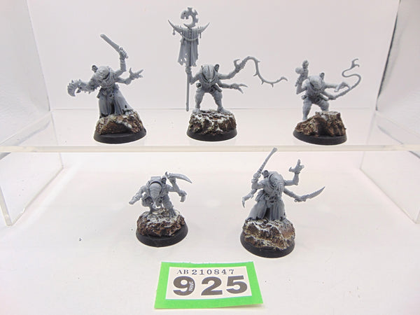 Acolyte Hybrids