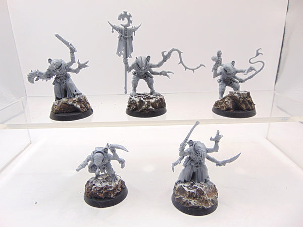 Acolyte Hybrids