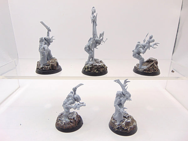 Acolyte Hybrids