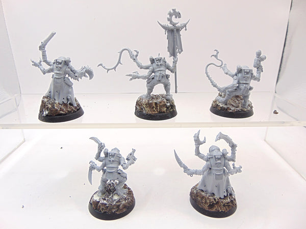 Acolyte Hybrids