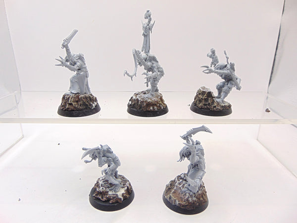 Acolyte Hybrids