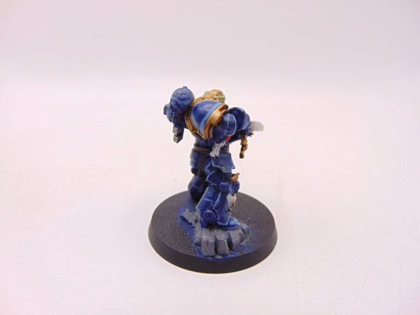 Primaris Company Champion