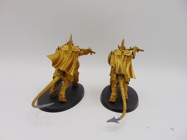 Tempestors