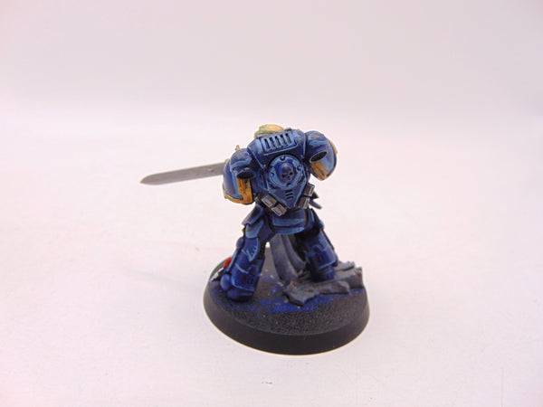 Primaris Company Champion