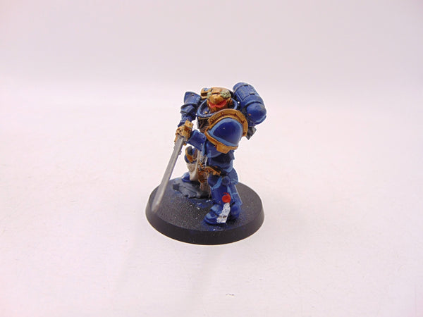 Primaris Company Champion