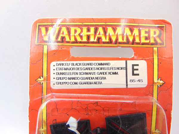 Dark Elf Black Guard Command