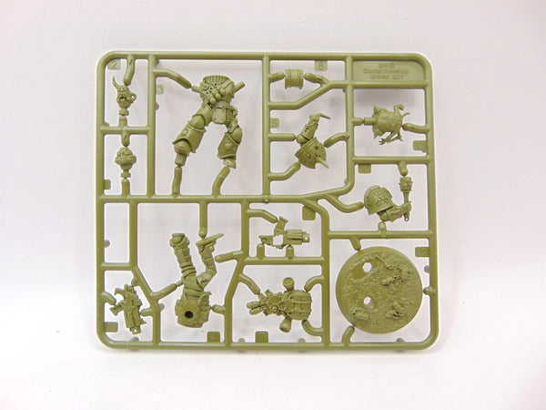Kholerus
