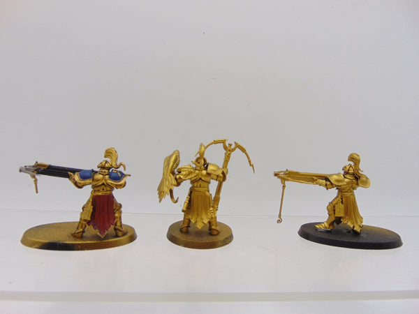 Vanguard Raptors