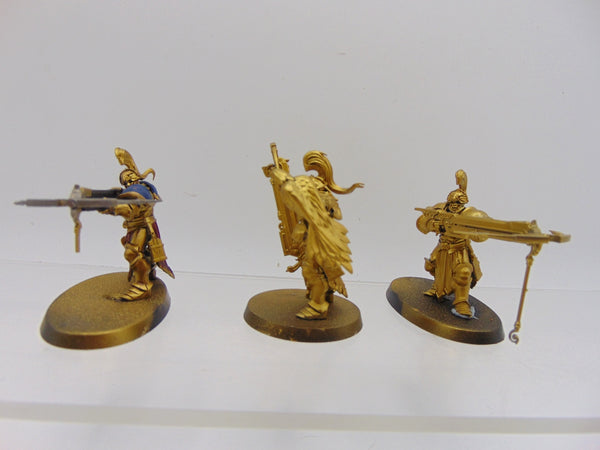 Vanguard Raptors