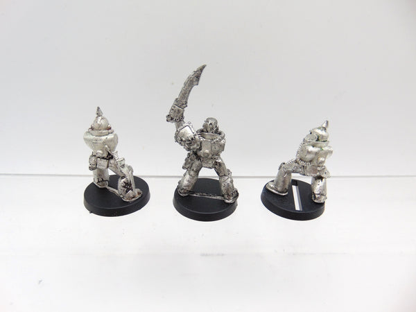 Plague Marines with Champion