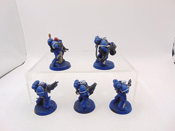Sternguard Veterans