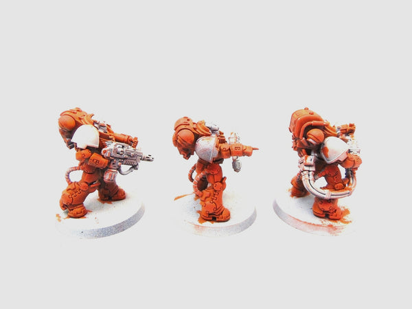 Eradicators