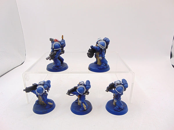 Sternguard Veterans