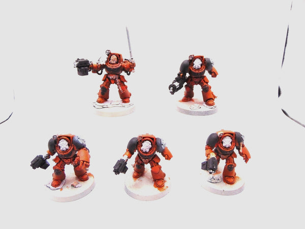 Terminator Squad