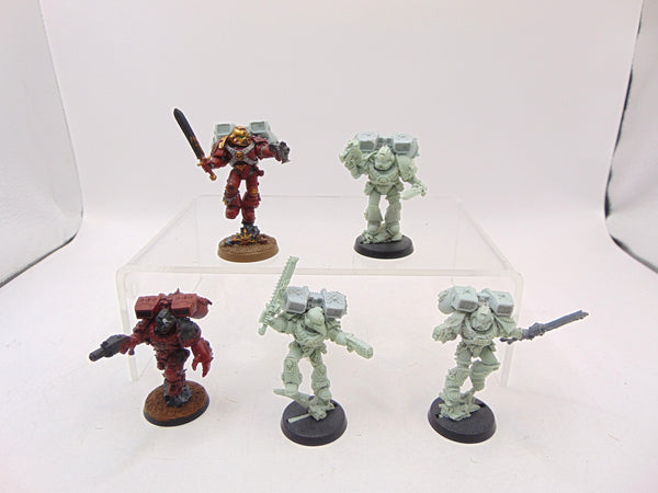 Vanguard Veterans