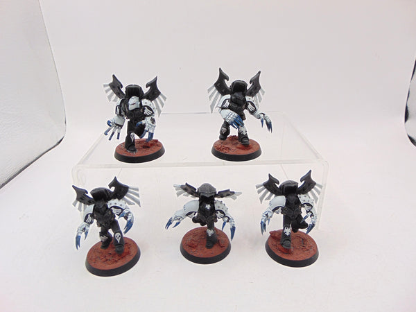 Dark Fury Assault Squad