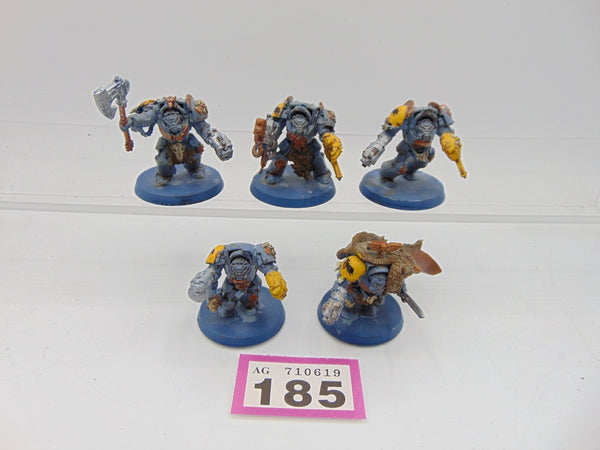 Wolf Guard Terminators