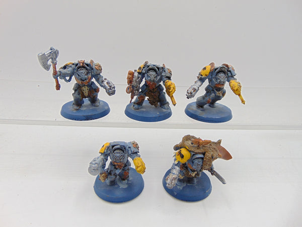 Wolf Guard Terminators