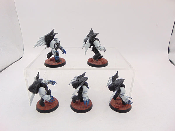 Dark Fury Assault Squad