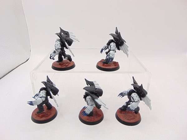 Dark Fury Assault Squad