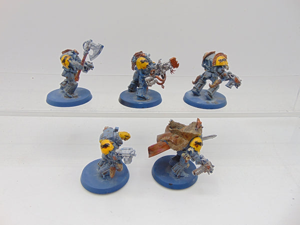 Wolf Guard Terminators