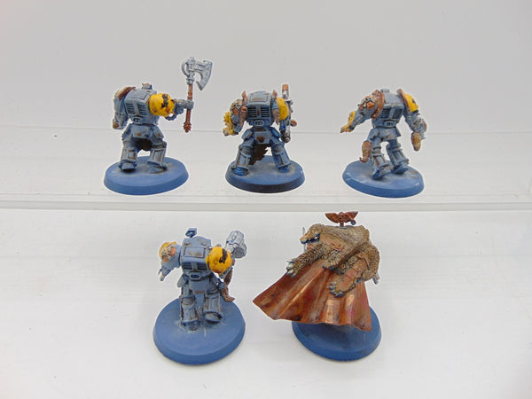 Wolf Guard Terminators