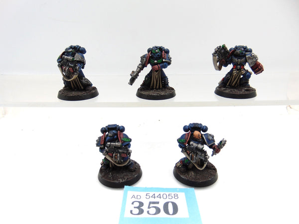 Sternguard Veterans