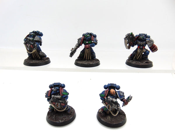 Sternguard Veterans
