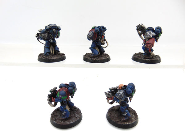 Sternguard Veterans