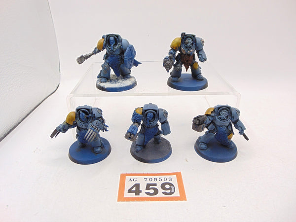 Wolf Guard