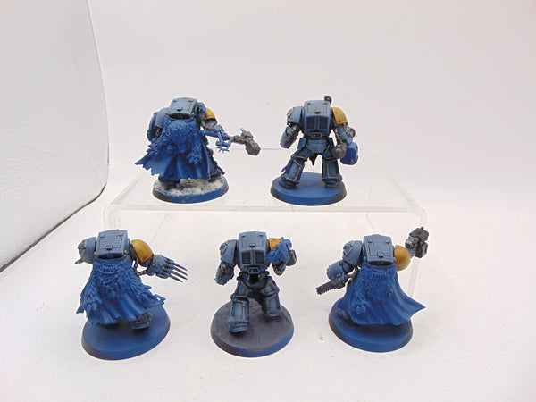 Wolf Guard