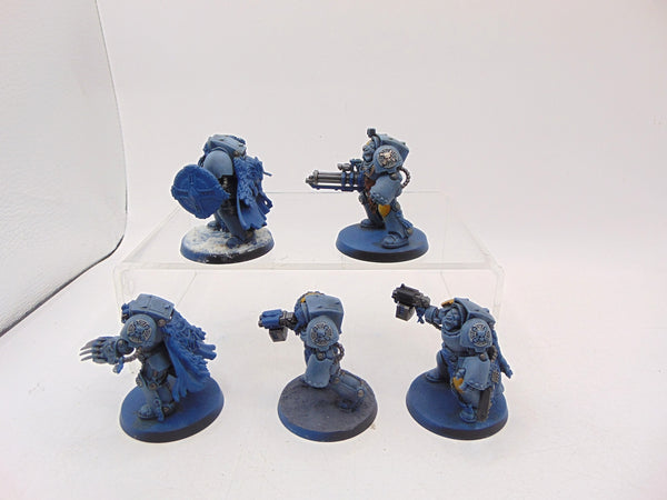 Wolf Guard