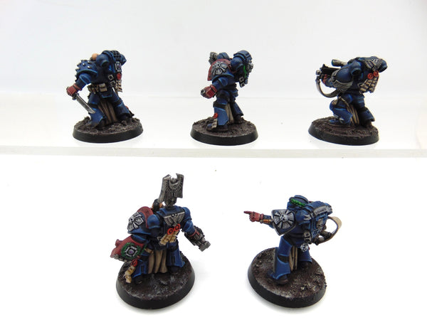 Sternguard Veterans