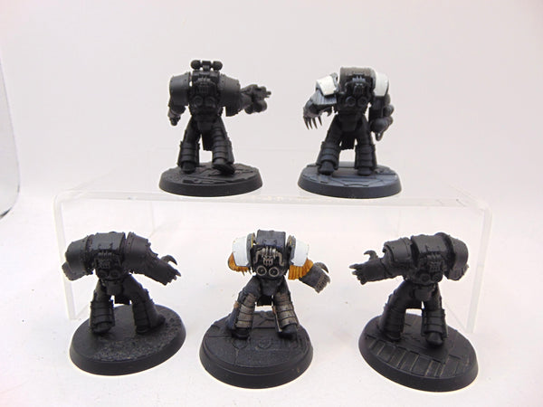 Cataphractii Terminator Squad