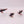 Eldar Jetbikes