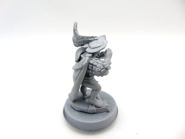 Freeguild General / Captain of the Empire