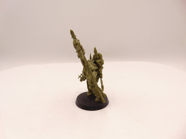 Plague Marine Icon Bearer