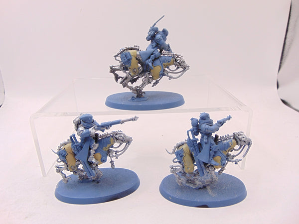 Serberys Raiders