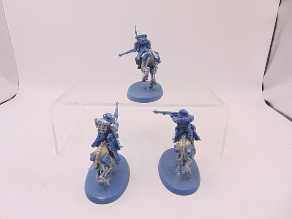 Serberys Raiders