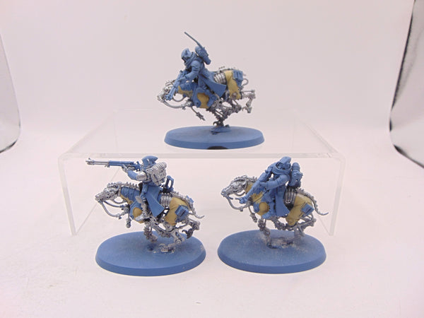 Serberys Raiders